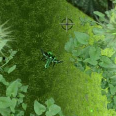 terrain_notrium