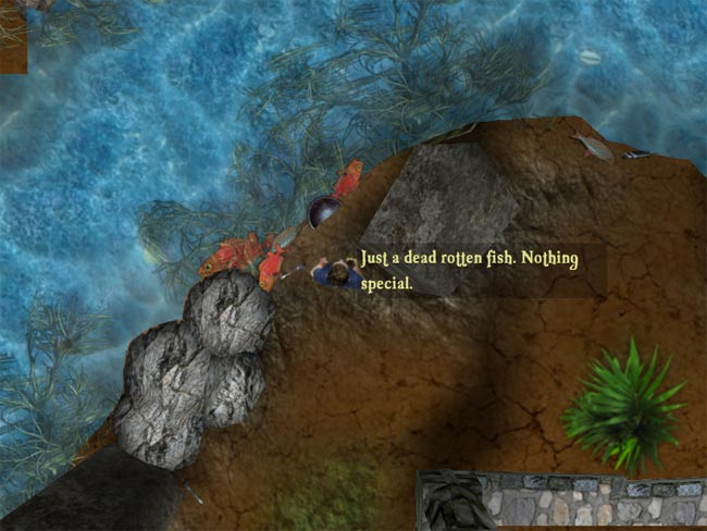 deadfish